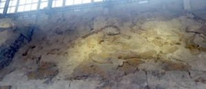 spines, Dinosaur National Monument