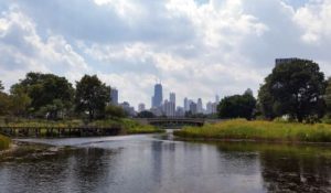 Lincoln Park Lake Chicago