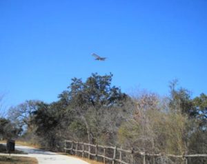 Walker Ranch Park airplane