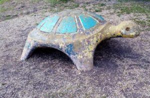 sad turtle, mcarthur park, san antonio